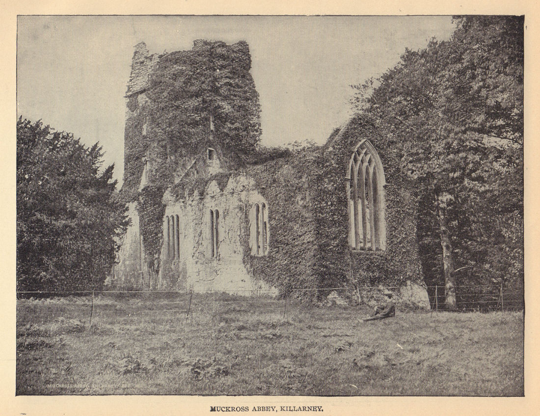 Muckross Abbey, Killarney. Ireland 1905 old antique vintage print picture